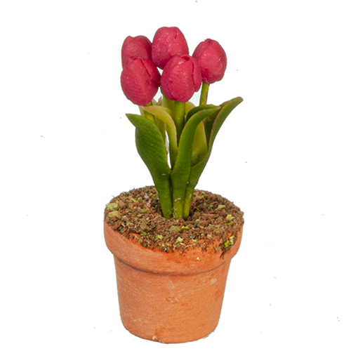 Purple Tulips In Pot